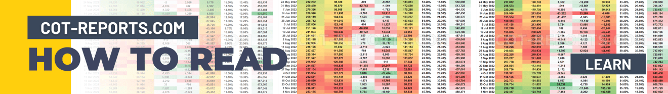 How to Read the COT Reports PDF Guide