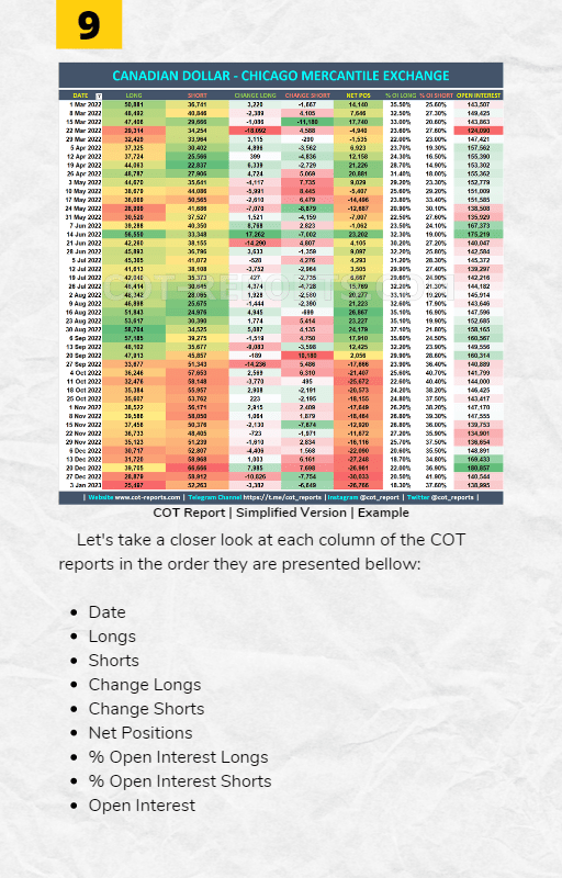 COT Report PDF Guide Page 9
